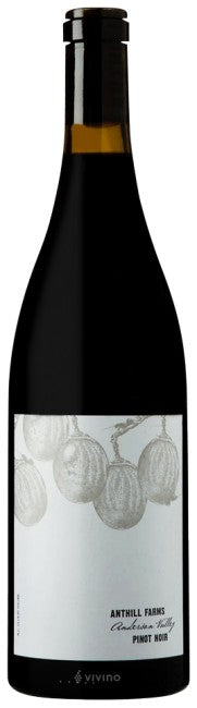 Anthill Farms - Pinot Noir Anderson Valley 2022 (750ml)