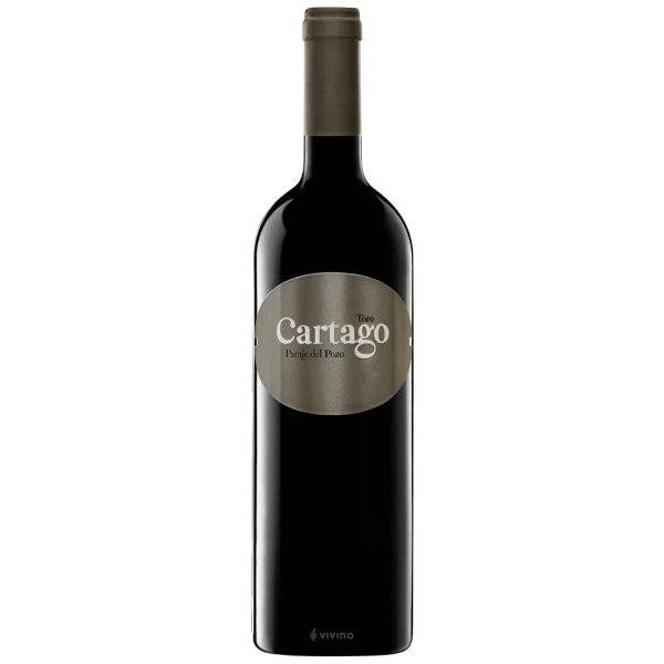 Bodegas San Román - Cartago Paraje de Pozo 2018 (750ml)