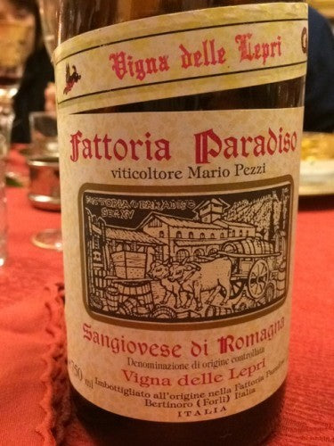 Fattoria Paradiso - Vigna delle Lepri Sangiovese di Romagna 2003 (750ml)