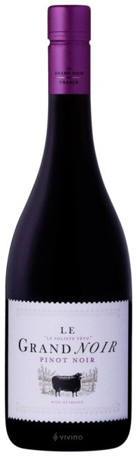 Le Grand Noir - Pinot Noir 2023 (750ml)