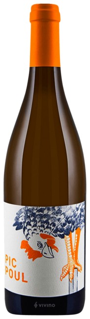 Les Équilibristes - Picpoul 2024 (750ml)