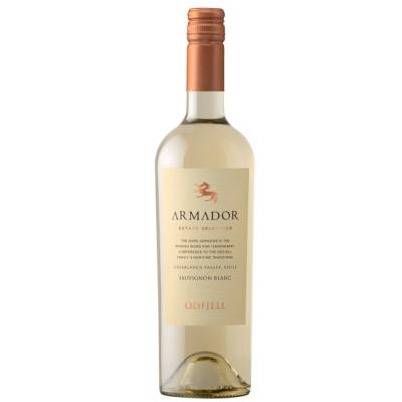 Odfjell Armador Sauvignon Blanc Casablanca Valley Chile 2016 (750ml)