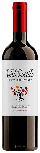 Bodegas Ismael Arroyo - Valsotillo Finca Buenavista 2019 (750ml)