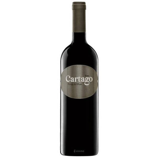 Bodegas San Román - Cartago Paraje de Pozo 2018 (750ml)