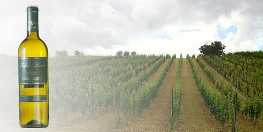 Casa Maschito Malvasia Lucana 2022 (750ml)