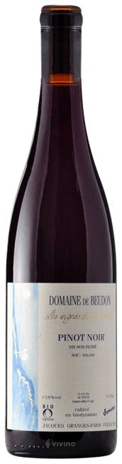 Domaine de Beudon - Pinot Noir 2017 (750ml)