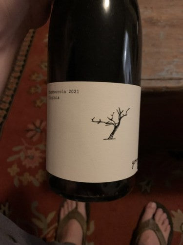 Early Mountain - Young Wine Red 2021 (750ml)