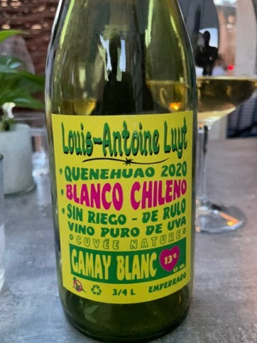 Louis-Antoine Luyt Gamay Blanc 2020 (750ml)