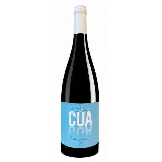 Peique - Valle del Cua Tinto 2023 (750ml)