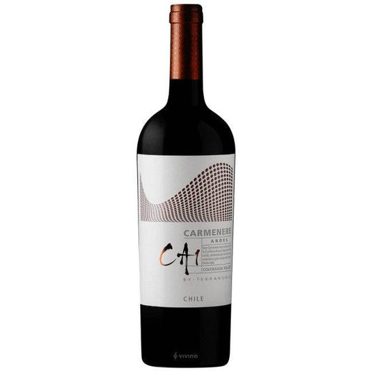 TerraNoble - CA1 Andes Carmenère 2020 (750ml)