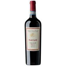Tenuta Sant'Antonio - Monti Garbi Valpolicella Ripasso Superiore 2020 (750ml)